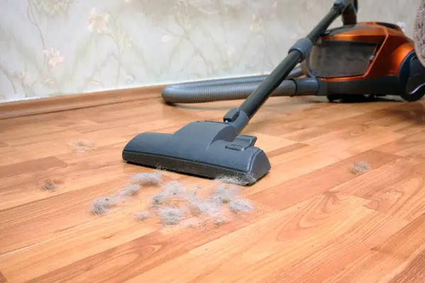 Kandel Carpet And Upholstery Cleaning in  Hudson, MA Pet Stain Removal 